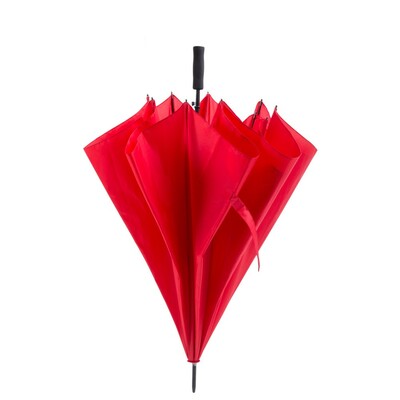 Big windproof automatic umbrella