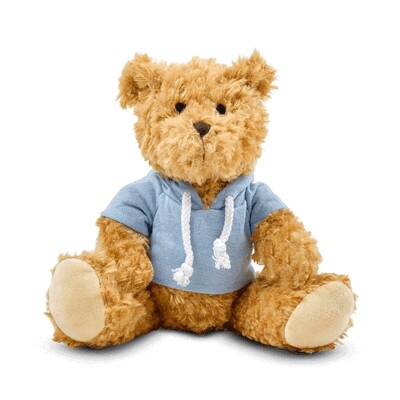 Teddy bear with hoodie