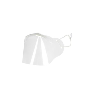 Nose and mouth shield