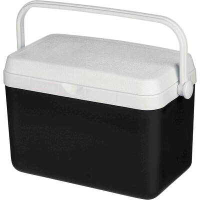 Kühlbox 4 l