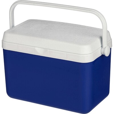 Kühlbox 4 l