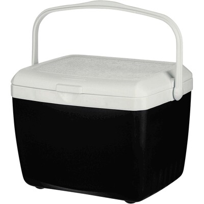 Cool box 13 l